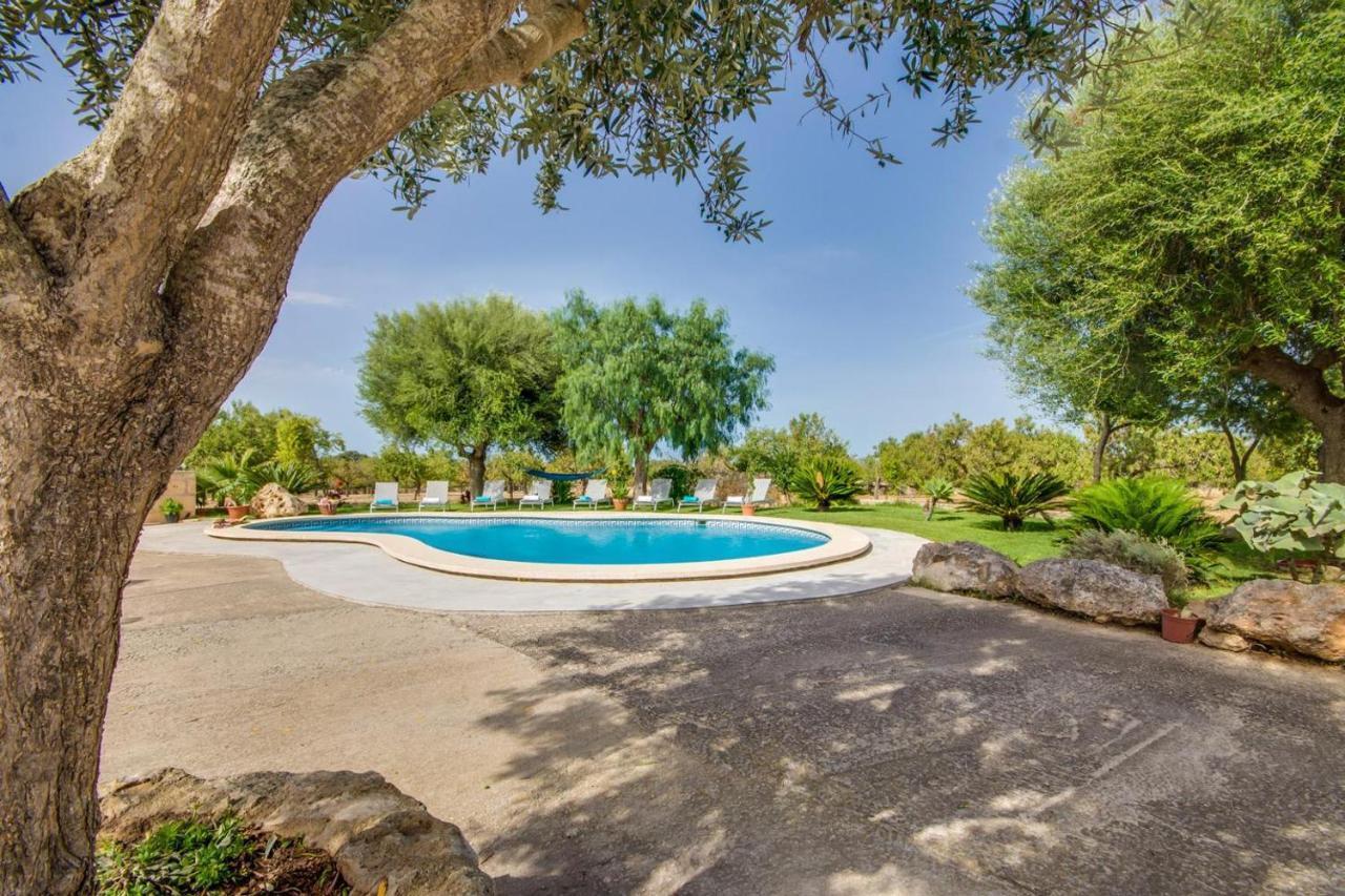 Ideal Mallorca - Vernissa Casa rural